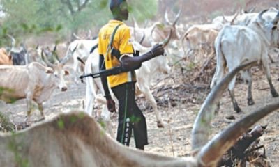 Fulani armed robbers lined up market women and raped them in turns