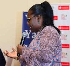 Take Akufo-Addo to court if he fails to disband vigilante – Oye Lithur to Ghanaians