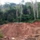 ‘Ghost’ mining company invades Atewa Forest