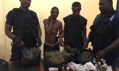 'Ganja Farmer' and 'Tramadol Don' brother arrested in Techiman