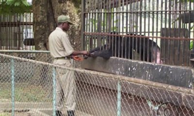 Kumasi Zoo bounces back
