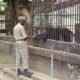 Kumasi Zoo bounces back