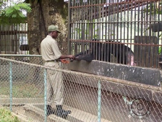 Kumasi Zoo bounces back