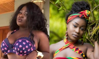 Sister Afia and Efia Odo Spark Another Cat-fight on Social Media