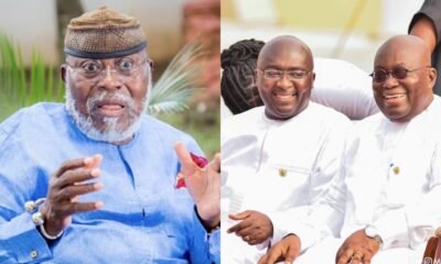 ‘Undemocratic’ NPP Suspended Me Because I Criticised Them For Corruption – Nyaho Tamakloe