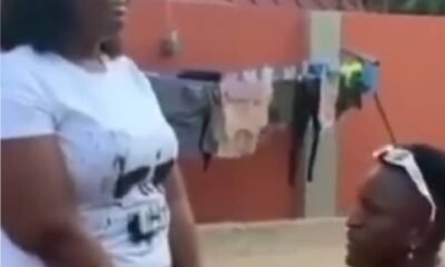 FINALLY: I Love You More Than My Mother - Ali kneels Down To Propose To Shemima, Fans React [Watch]