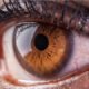 Eye Infections Are More Likely When There Is Environmental Pollution: GOA Warns