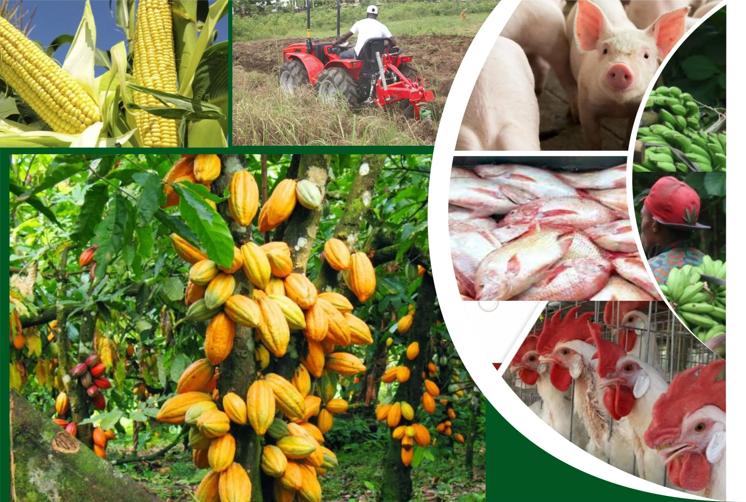 Agric Minister At Farmer's Day