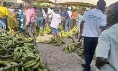 PFJ Market Set To Undergo Adjustments: Ministry of Agric