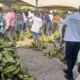 PFJ Market Set To Undergo Adjustments: Ministry of Agric